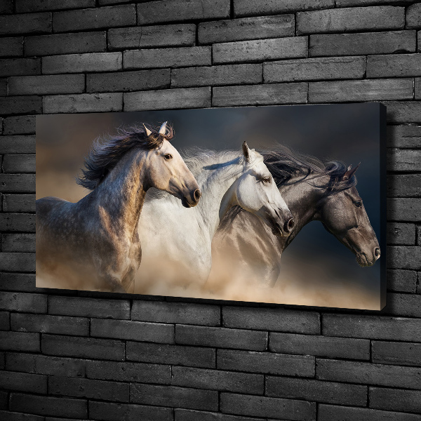 Cuadro canvas moderno de gran formato horizontal Caballos al galope