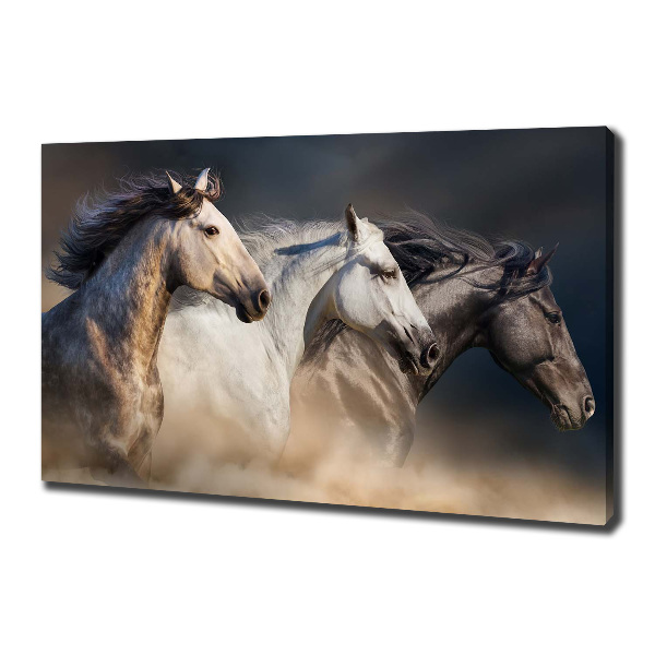 Cuadro canvas moderno de gran formato horizontal Caballos al galope