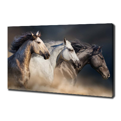 Cuadro canvas moderno de gran formato horizontal Caballos al galope