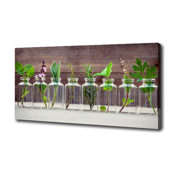 Cuadro canvas con impresión uv duradera horizontal Plantas en frascos