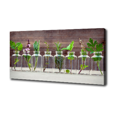 Cuadro canvas con impresión uv duradera horizontal Plantas en frascos