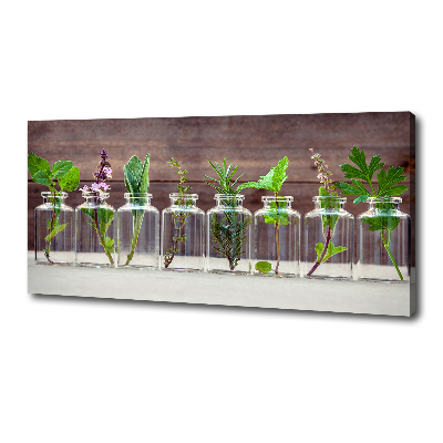 Cuadro canvas con impresión uv duradera horizontal Plantas en frascos