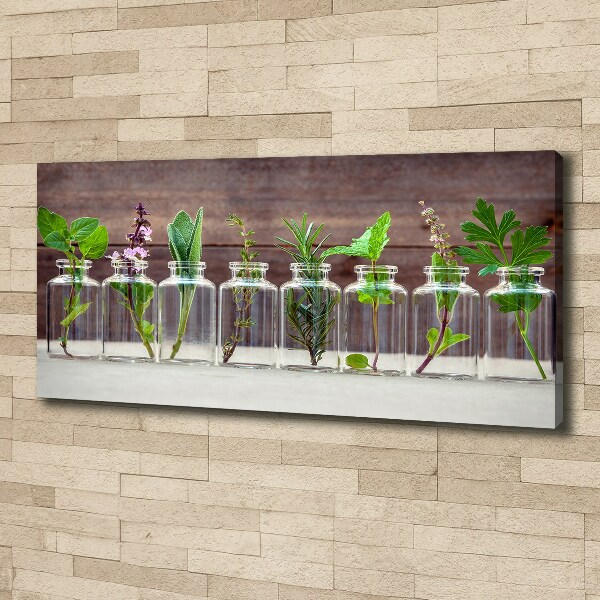 Cuadro canvas con impresión uv duradera horizontal Plantas en frascos