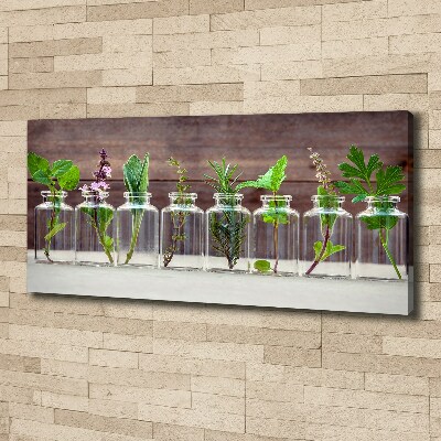 Cuadro canvas con impresión uv duradera horizontal Plantas en frascos