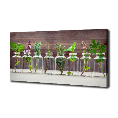 Cuadro canvas con impresión uv duradera horizontal Plantas en frascos