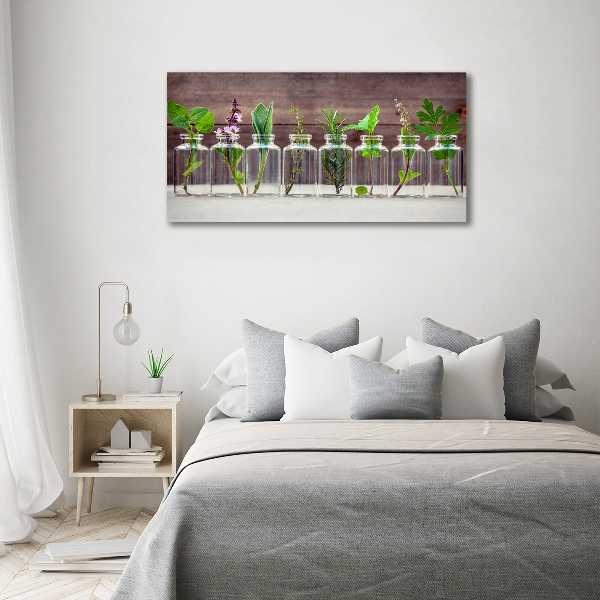 Cuadro canvas con impresión uv duradera horizontal Plantas en frascos