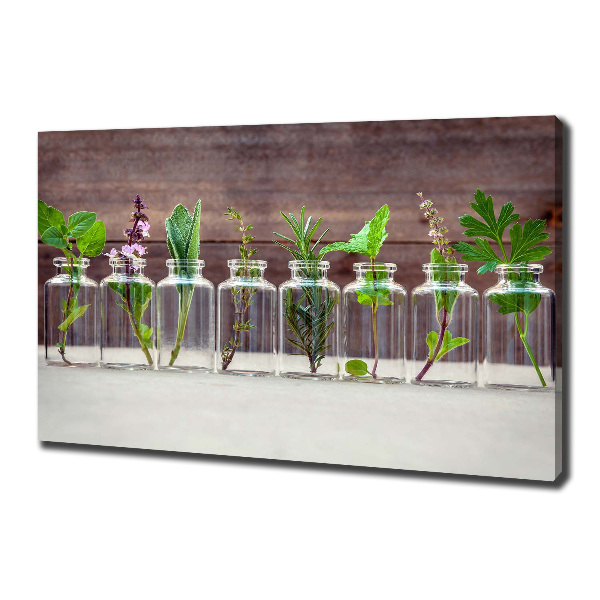 Cuadro canvas con impresión uv duradera horizontal Plantas en frascos
