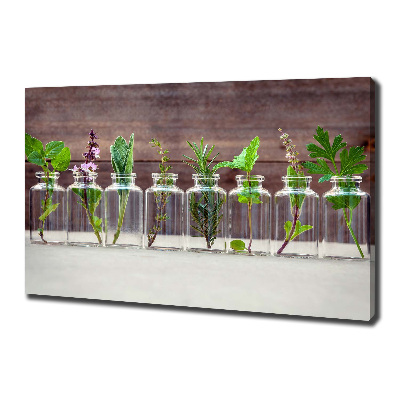 Cuadro canvas con impresión uv duradera horizontal Plantas en frascos