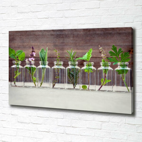 Cuadro canvas con impresión uv duradera horizontal Plantas en frascos