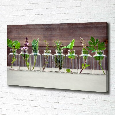 Cuadro canvas con impresión uv duradera horizontal Plantas en frascos
