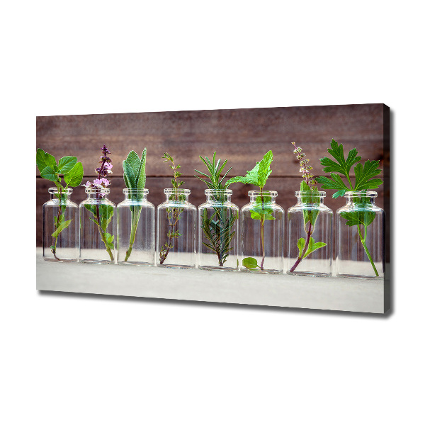 Cuadro canvas con impresión uv duradera horizontal Plantas en frascos