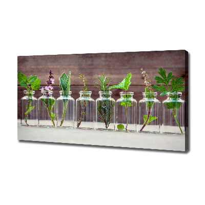 Cuadro canvas con impresión uv duradera horizontal Plantas en frascos