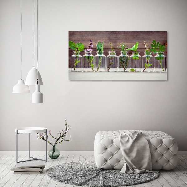 Cuadro canvas con impresión uv duradera horizontal Plantas en frascos