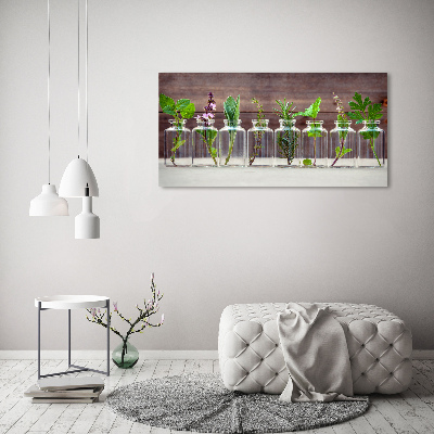 Cuadro canvas con impresión uv duradera horizontal Plantas en frascos