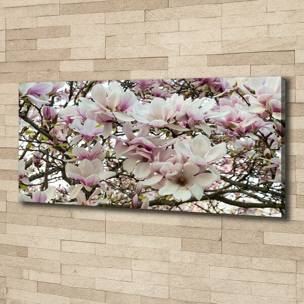 Cuadro canvas moderno de gran formato horizontal flores de magnolia