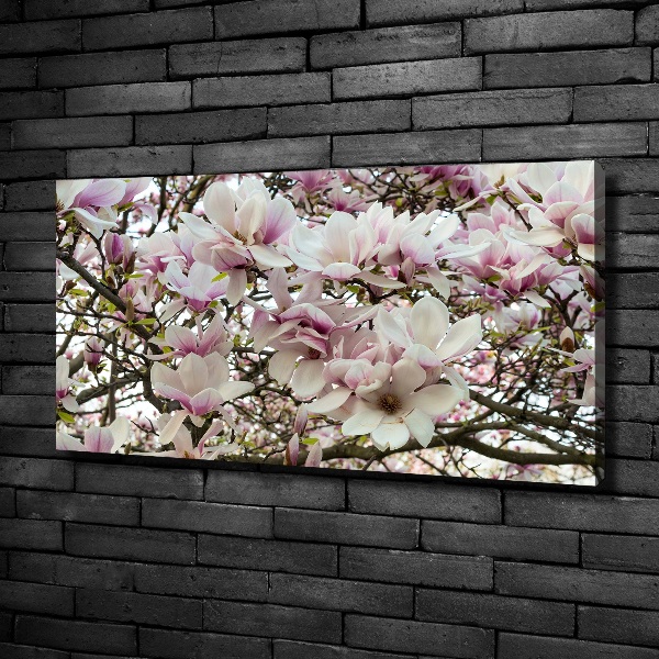 Cuadro canvas moderno de gran formato horizontal flores de magnolia