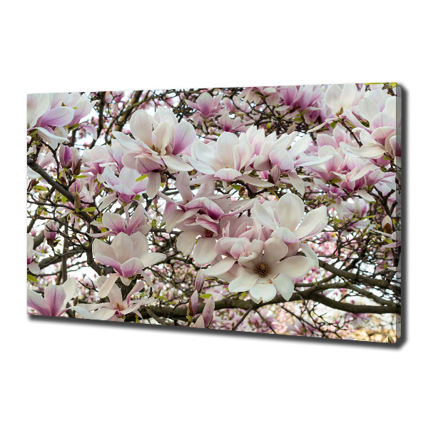 Cuadro canvas moderno de gran formato horizontal flores de magnolia