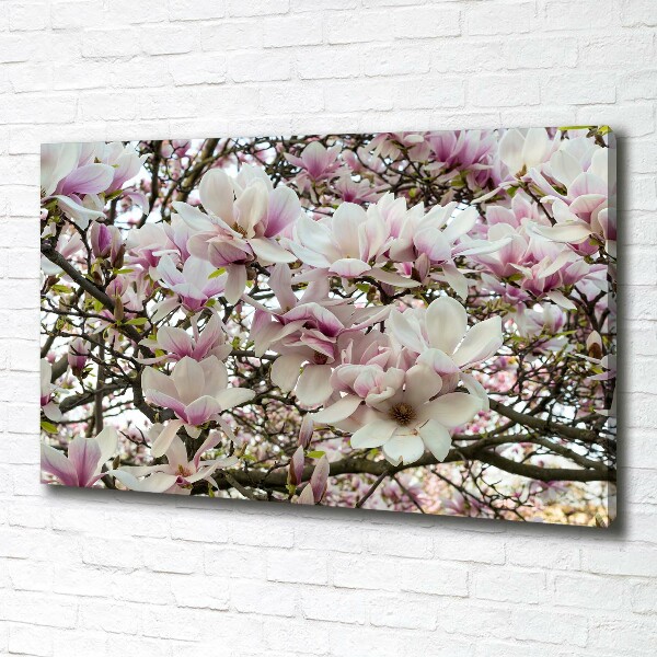 Cuadro canvas moderno de gran formato horizontal flores de magnolia