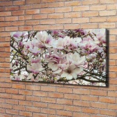Cuadro canvas moderno de gran formato horizontal flores de magnolia