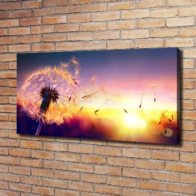 Foto en lienzo con acabado profesional horizontal Diente de león