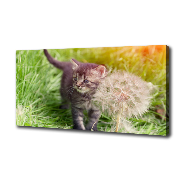 Cuadro canvas con impresión uv duradera horizontal Gatito con un diente de león