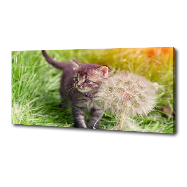 Cuadro canvas con impresión uv duradera horizontal Gatito con un diente de león