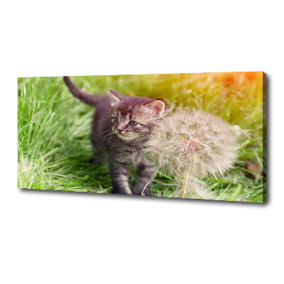 Cuadro canvas con impresión uv duradera horizontal Gatito con un diente de león