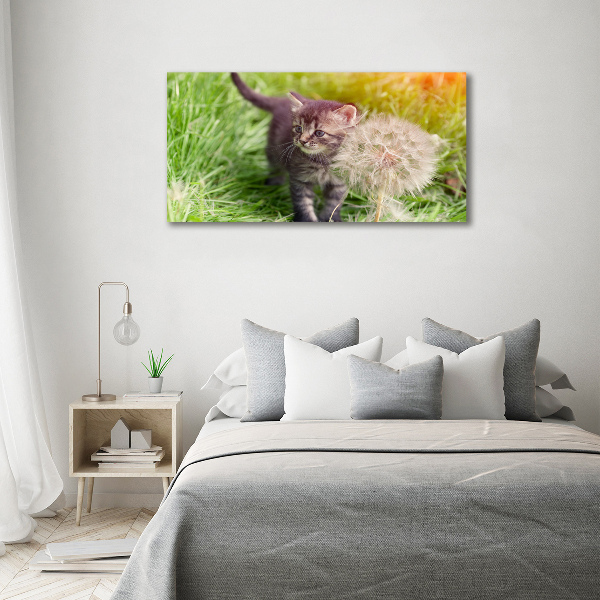 Cuadro canvas con impresión uv duradera horizontal Gatito con un diente de león
