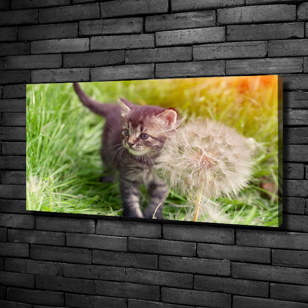 Cuadro canvas con impresión uv duradera horizontal Gatito con un diente de león