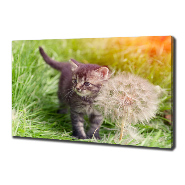 Cuadro canvas con impresión uv duradera horizontal Gatito con un diente de león