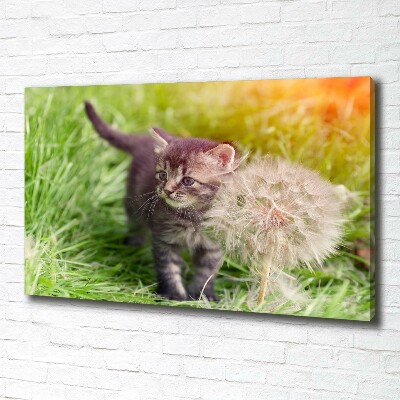 Cuadro canvas con impresión uv duradera horizontal Gatito con un diente de león