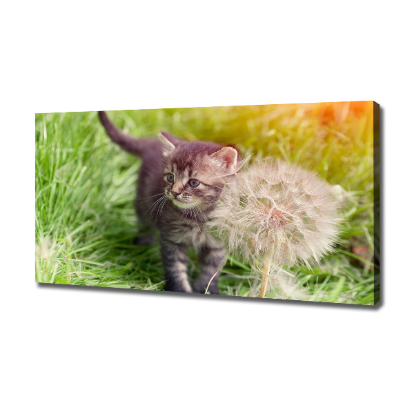 Cuadro canvas con impresión uv duradera horizontal Gatito con un diente de león