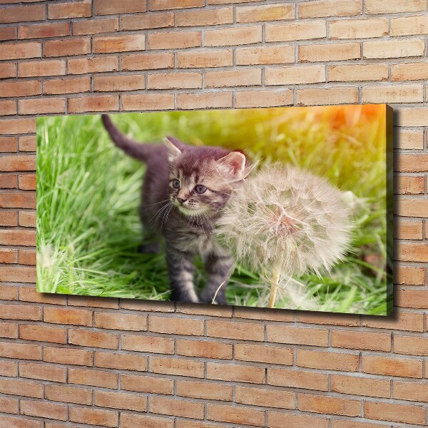 Cuadro canvas con impresión uv duradera horizontal Gatito con un diente de león