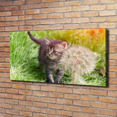 Cuadro canvas con impresión uv duradera horizontal Gatito con un diente de león