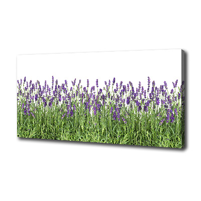 Cuadro canvas moderno de gran formato horizontal flores de lavanda