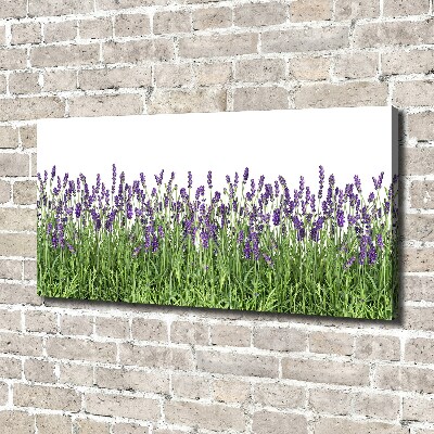 Cuadro canvas moderno de gran formato horizontal flores de lavanda