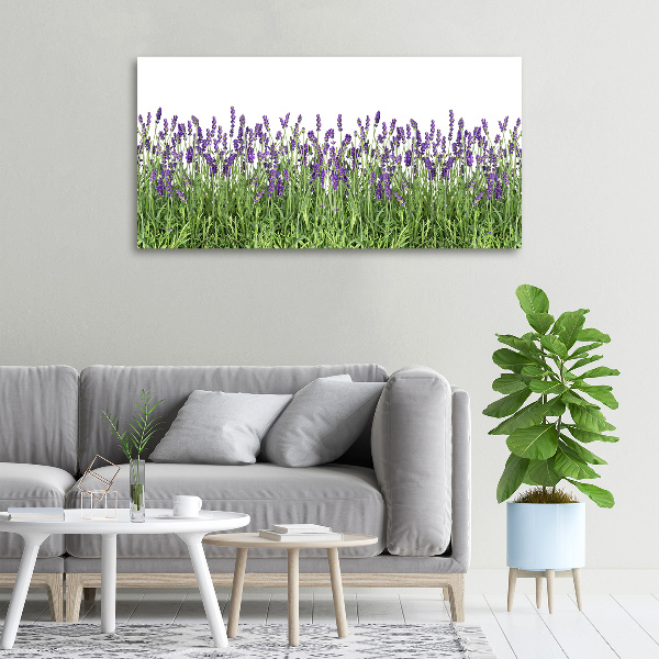 Cuadro canvas moderno de gran formato horizontal flores de lavanda
