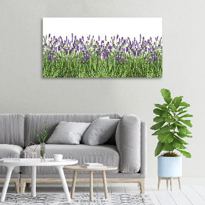 Cuadro canvas moderno de gran formato horizontal flores de lavanda