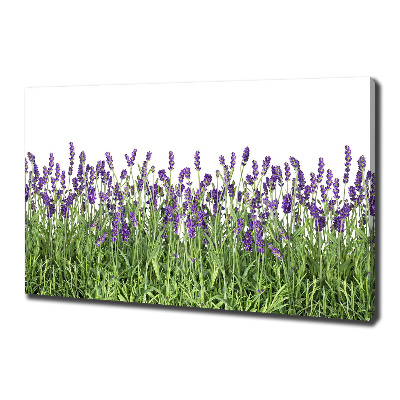 Cuadro canvas moderno de gran formato horizontal flores de lavanda
