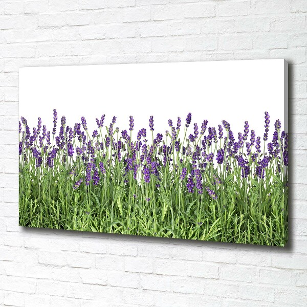 Cuadro canvas moderno de gran formato horizontal flores de lavanda