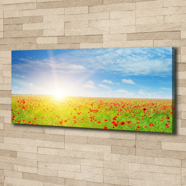 Cuadro canvas con impresión uv duradera horizontal Campo de amapolas