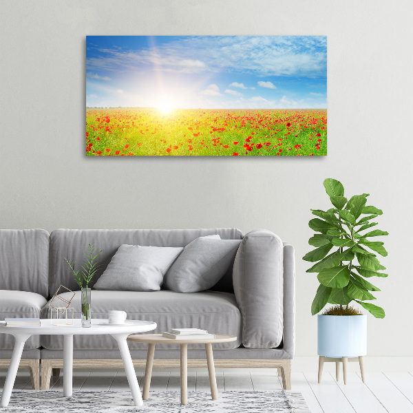 Cuadro canvas con impresión uv duradera horizontal Campo de amapolas