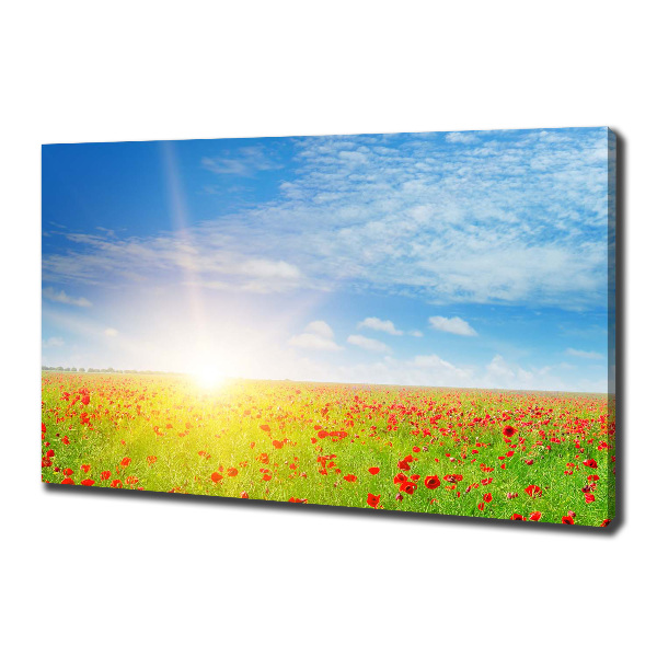 Cuadro canvas con impresión uv duradera horizontal Campo de amapolas