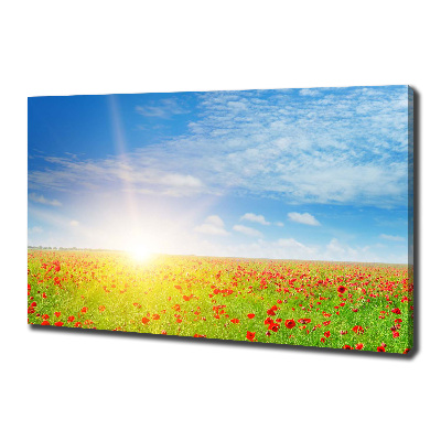 Cuadro canvas con impresión uv duradera horizontal Campo de amapolas