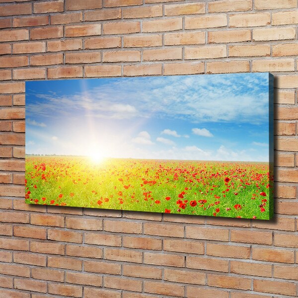 Foto obraz canvas Pole maków