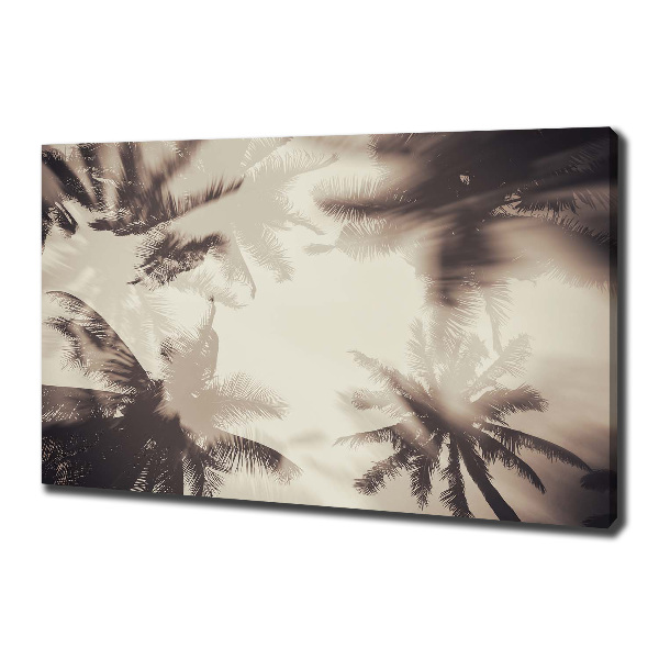 Fotocuadro en lienzo de alta calidad horizontal palmeras