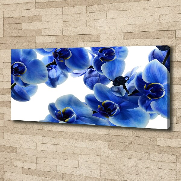 Cuadro canvas con impresión uv duradera horizontal Orquídea azul