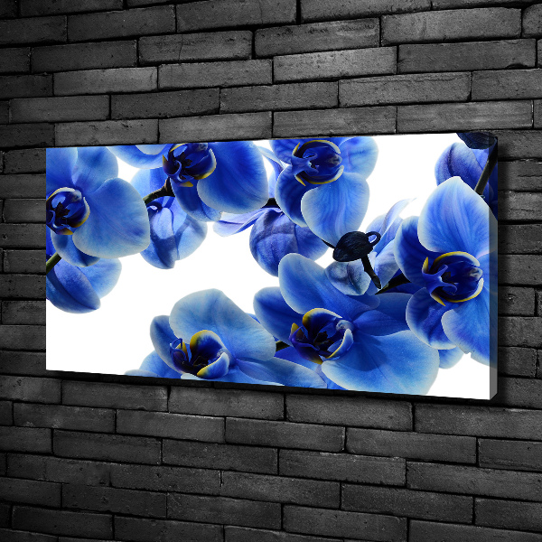 Cuadro canvas con impresión uv duradera horizontal Orquídea azul