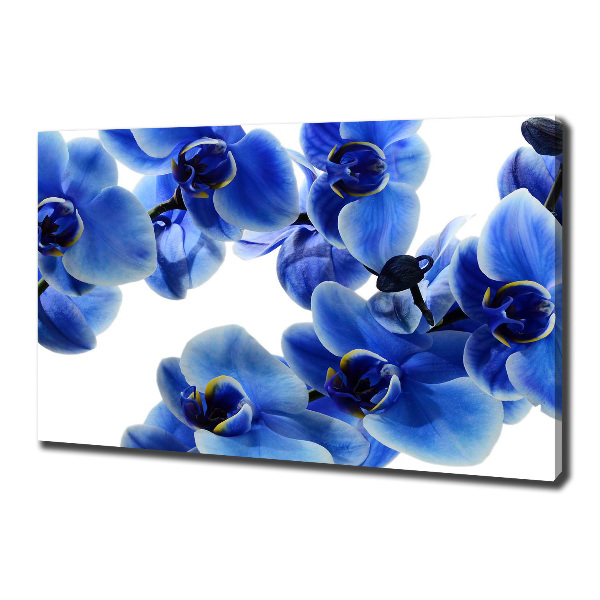 Cuadro canvas con impresión uv duradera horizontal Orquídea azul