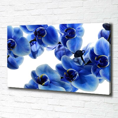 Cuadro canvas con impresión uv duradera horizontal Orquídea azul